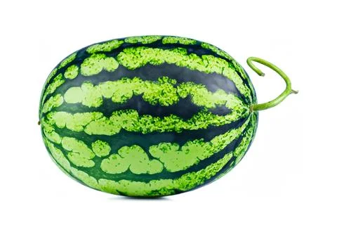 Watermelon isolated on white background Stock Photos