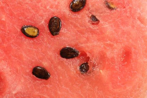 Watermelon Macro Stock Photos