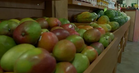 Watermelon &amp; Mango Video stock 75382700