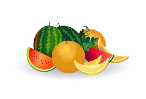 Watermelon melon fruit on white background, healthy lifestyle or diet concept Stock Illustration