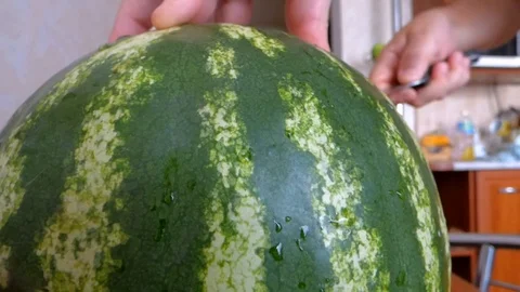 Watermelon melon knife chopper cut Video stock 93646788