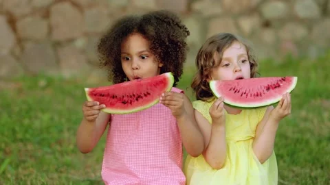 Watermelon mid Stock-Footage 182490190