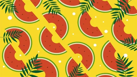 Watermelon Orange Fruit Pattern Stock Footage 311296328
