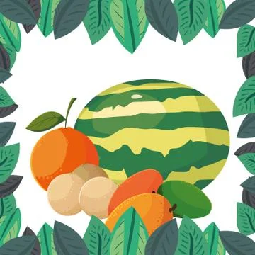 Watermelon orange melon mango fresh fruits foliage frame Stock Illustration