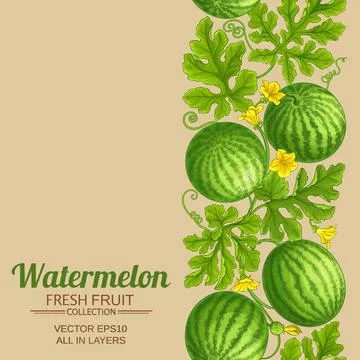Watermelon pattern on color background Stock Illustration