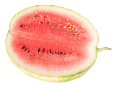 Watermelon Stock Photos