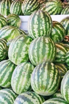Watermelon Stock Photos