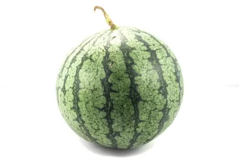 Watermelon Foto stock