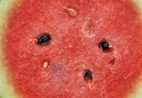 Watermelon Stock Photos