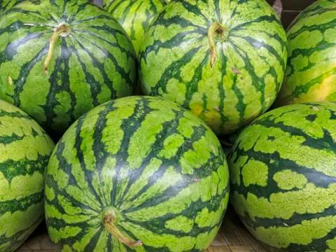 Watermelon Foto stock
