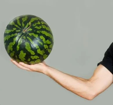 Watermelon Foto stock