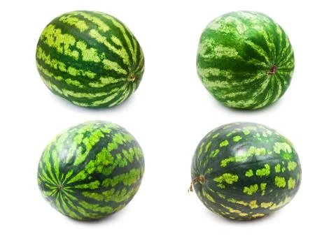 Watermelon Stock Photos