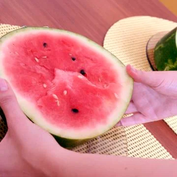 Watermelon Fotos Stock