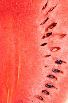 Watermelon Stock Photos