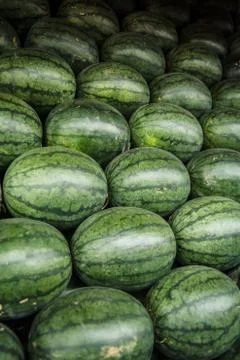 Watermelon Stock Photos