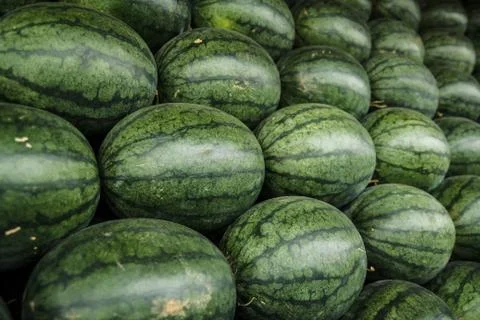Watermelon Stock Photos