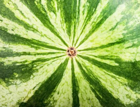 Watermelon Stock Photos