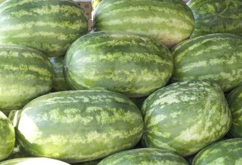 Watermelon Stock Photos