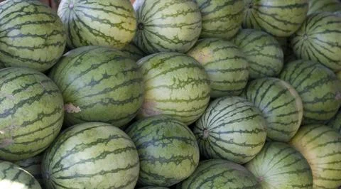 Watermelon Stock Photos