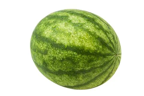 Watermelon 스톡 사진