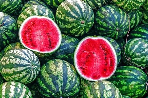 Watermelon Stock Photos
