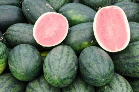 Watermelon Stock Photos