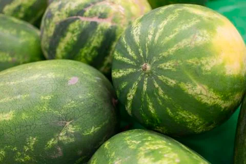 Watermelon Stock Photos
