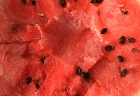 Watermelon Foto stock