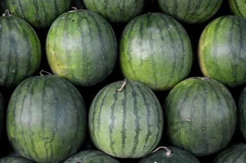 Watermelon Stock Photos