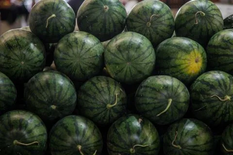 Watermelon Stock Photos