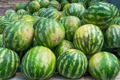 Watermelon Stock Photos