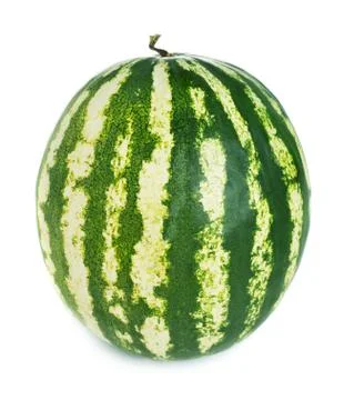 Watermelon Foto stock
