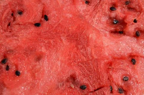 Watermelon Stock Photos