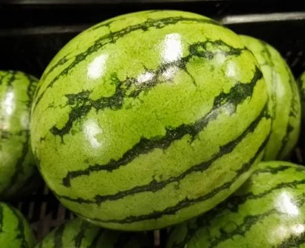 Watermelon Stock Photos