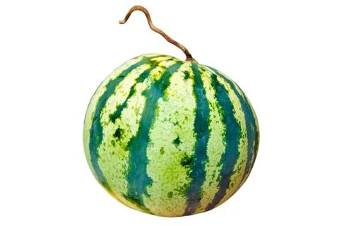 Watermelon Stock Photos