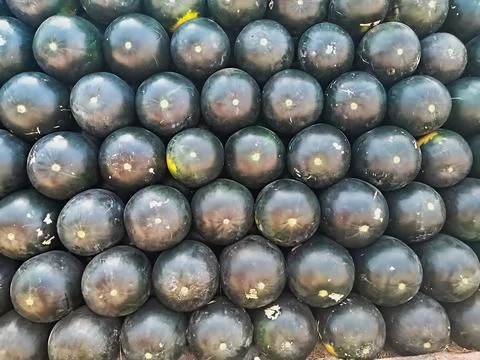 Watermelon Stock Photos