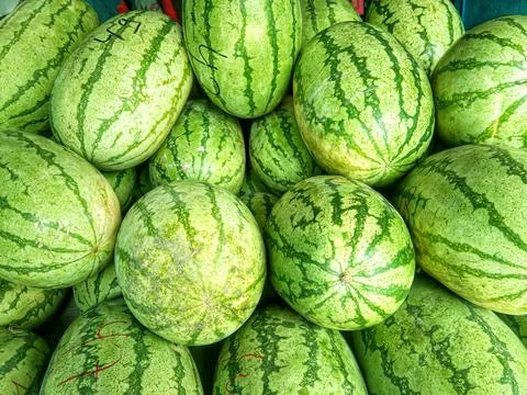 Watermelon Stock Photos