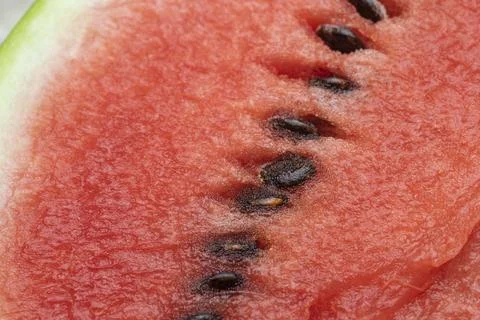 Watermelon Stock Photos