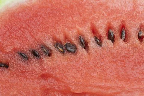 Watermelon Stock Photos