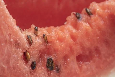 Watermelon Stock Photos