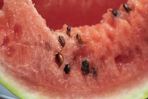 Watermelon Stock Photos