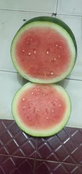 Watermelon Foto stock