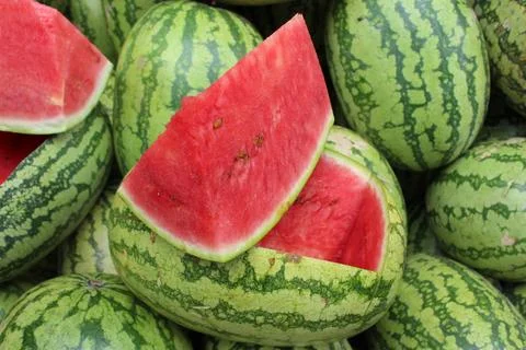 Watermelon Stock Photos