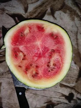 Watermelon 스톡 사진
