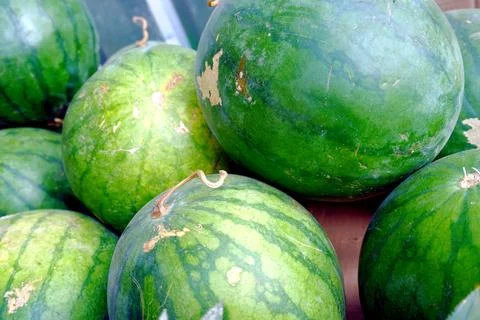 The watermelon Foto stock
