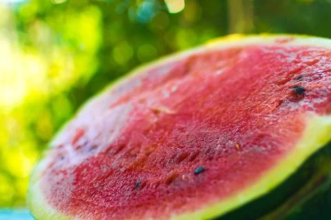 Watermelon Stock Photos