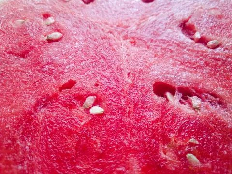 Watermelon Stock Photos
