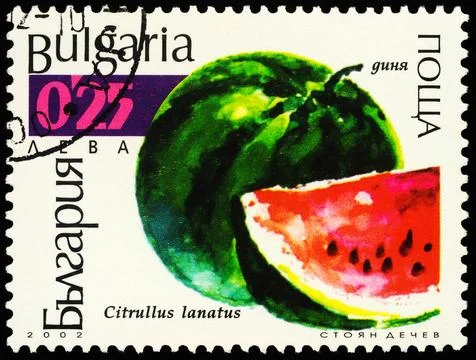Watermelon on postage stamp Stock Photos