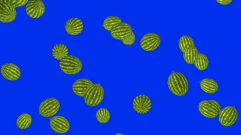 Watermelon rain on blue screen. 3D animation of fruits. Stock Footage 303888824