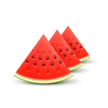 Watermelon realistic sliced fruit, vector Stock Illustration